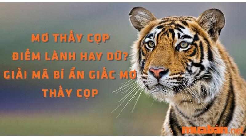 Bị cọp cắn trong mơ