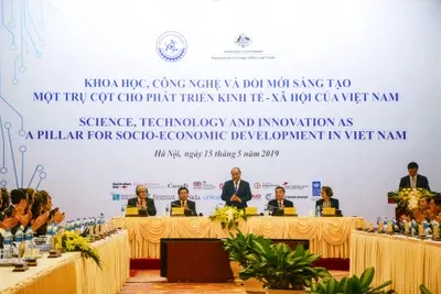 Hình tượng cá mập trong văn hóa