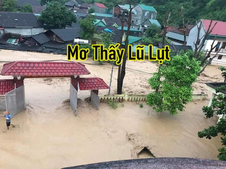 Giải mã giấc mơ thấy chạy xe đạp nhanh trên đường đồi núi