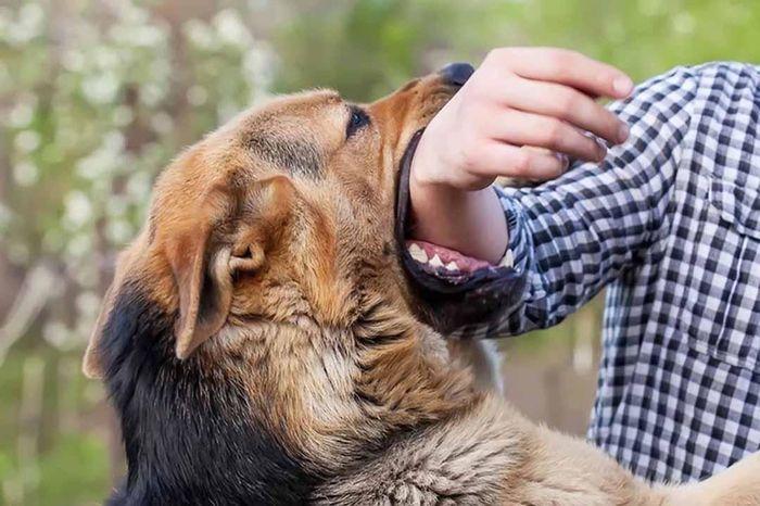 Nằm Mơ Thấy Người Yêu Cũ Đánh Đề Con Gì?