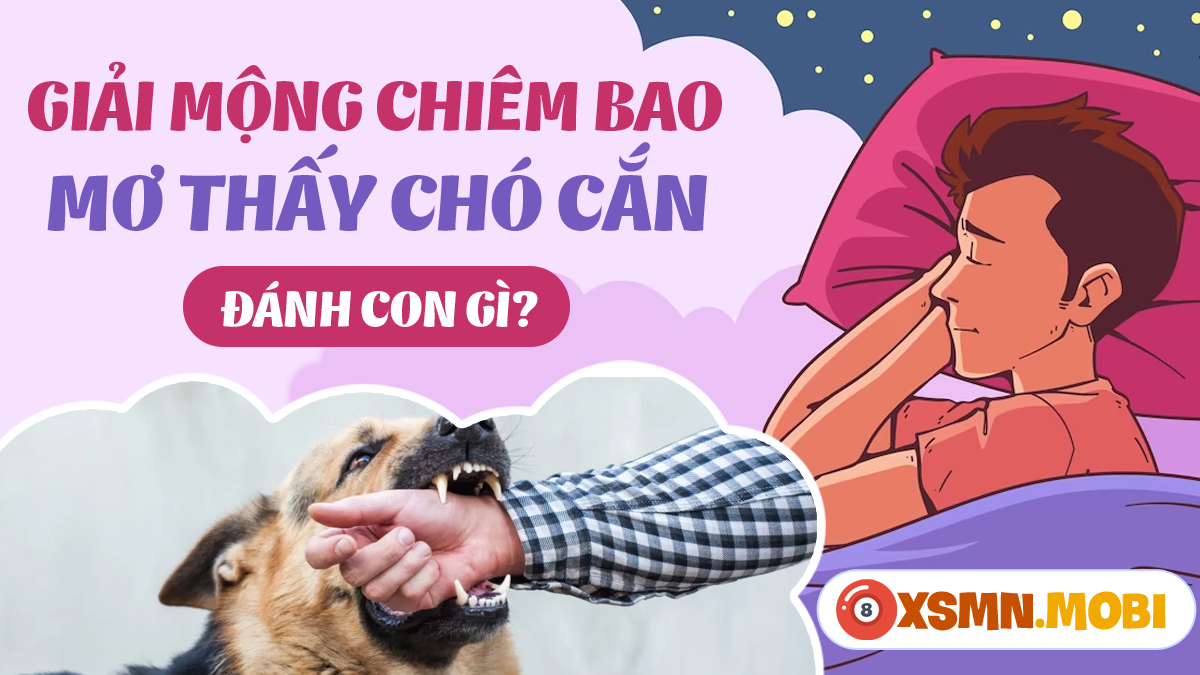 Giải Mã Giấc Mơ Thấy Chó Con: Điềm Báo Gì?