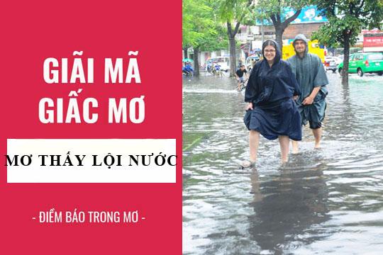 Giải Mã Giấc Mơ Thấy Chó Con: Điềm Báo Gì?