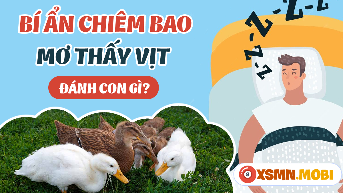 Giải mã giấc mơ thấy vịt đánh số mấy