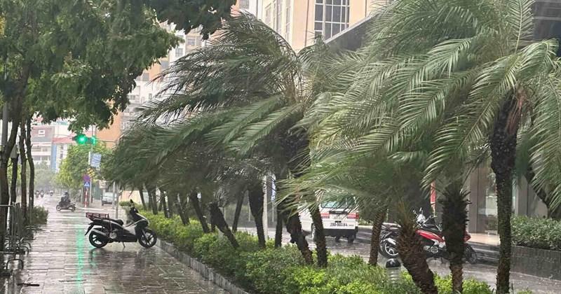 Gió thổi mạnh kèm mưa to