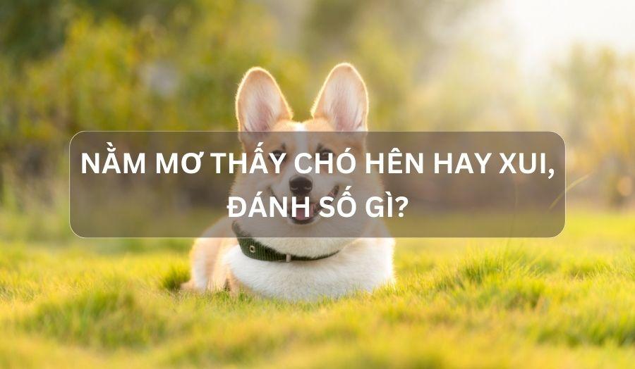 Nằm mơ thấy chó con đáng yêu - Điềm báo gì?